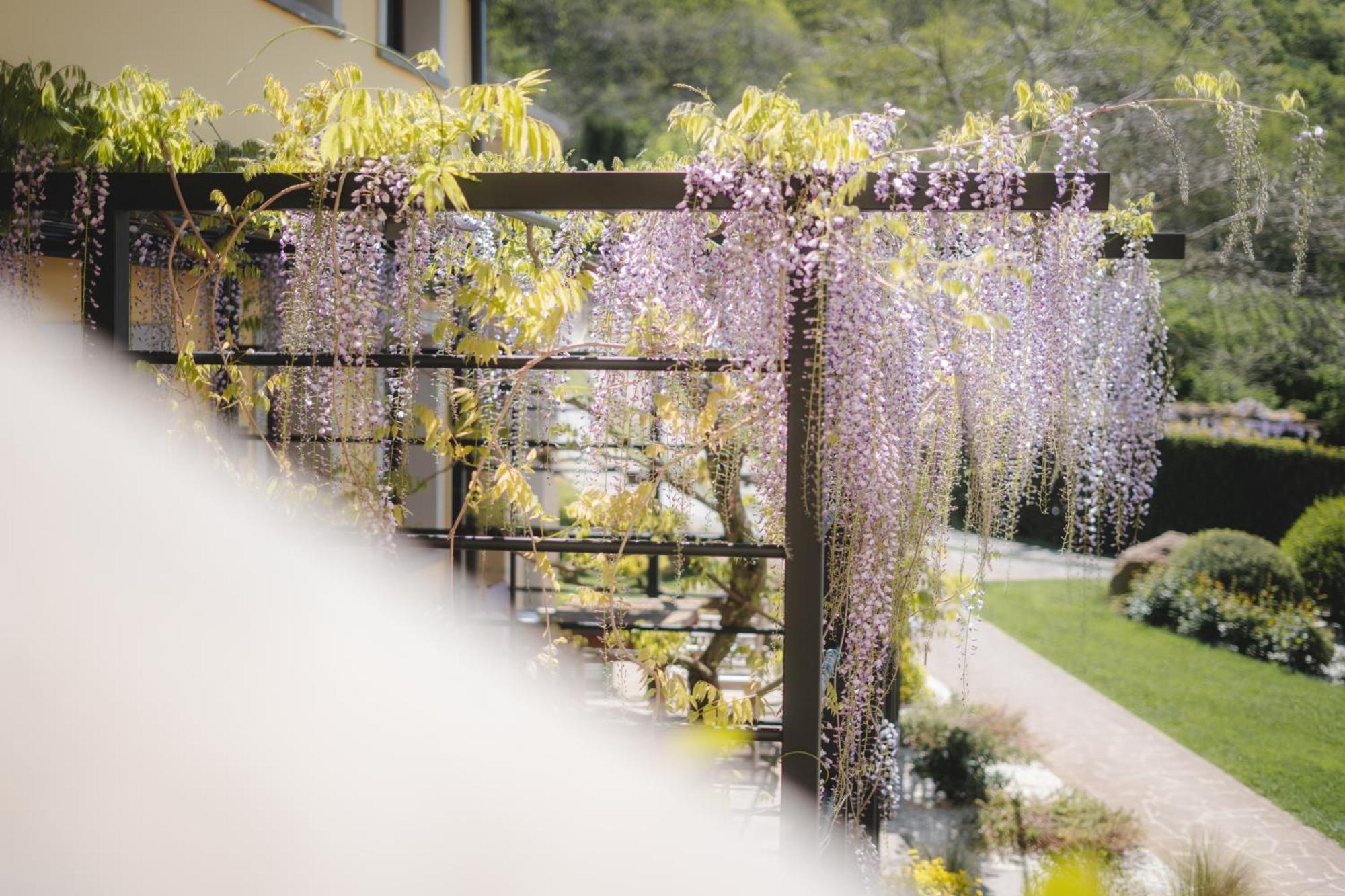 Agriturismo La Valle Di Vico 卡普拉罗拉 外观 照片