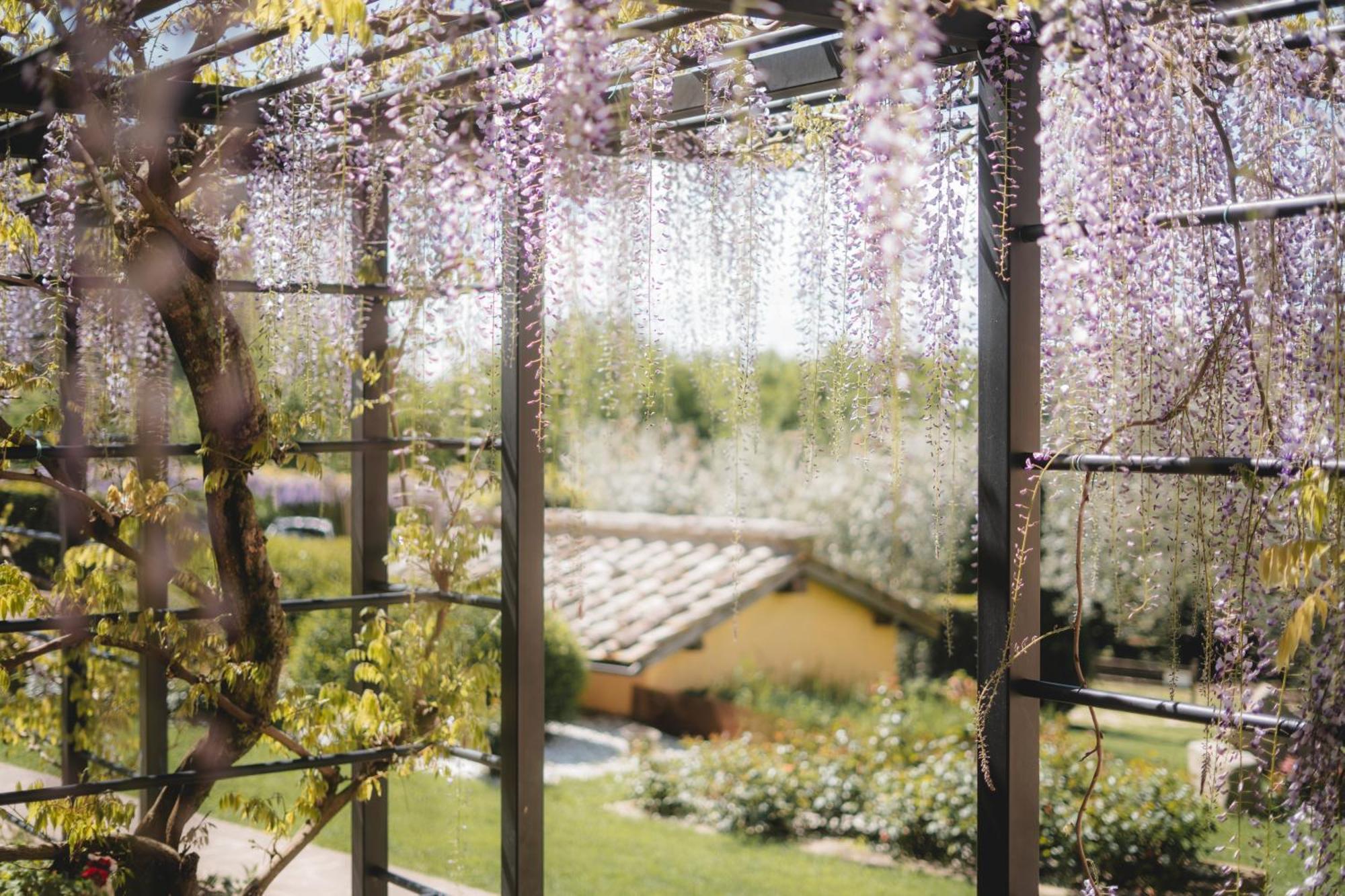 Agriturismo La Valle Di Vico 卡普拉罗拉 外观 照片